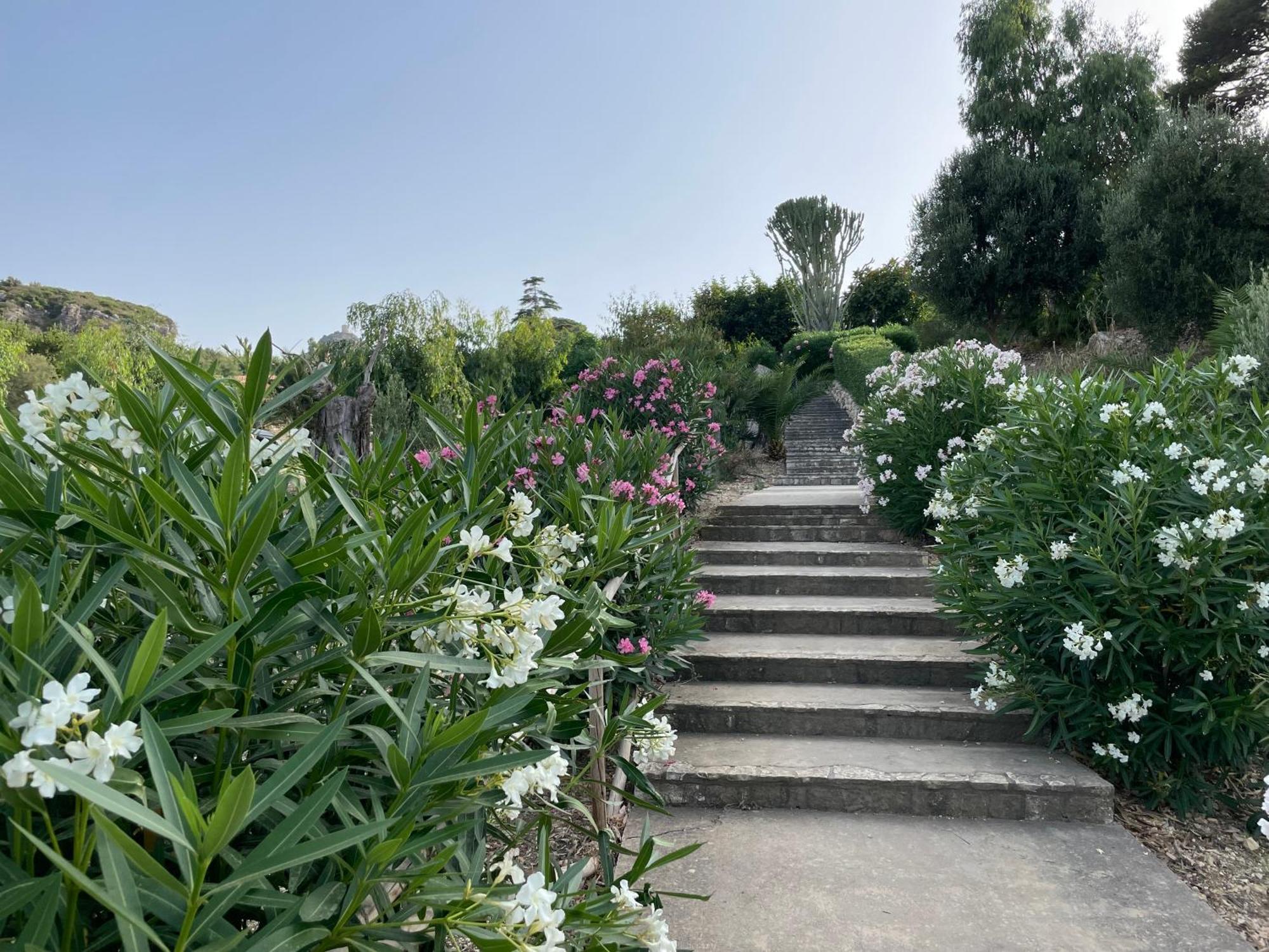 Villa Hibiscus Scopello Скопелло Экстерьер фото