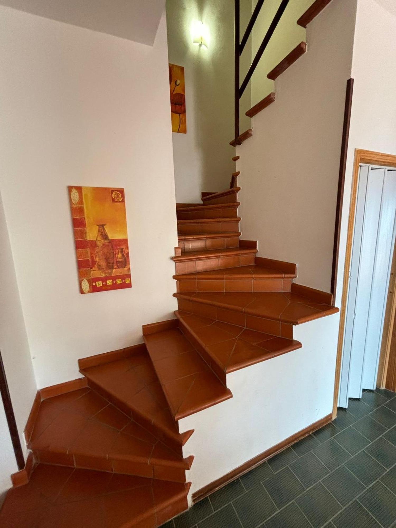 Villa Hibiscus Scopello Скопелло Экстерьер фото