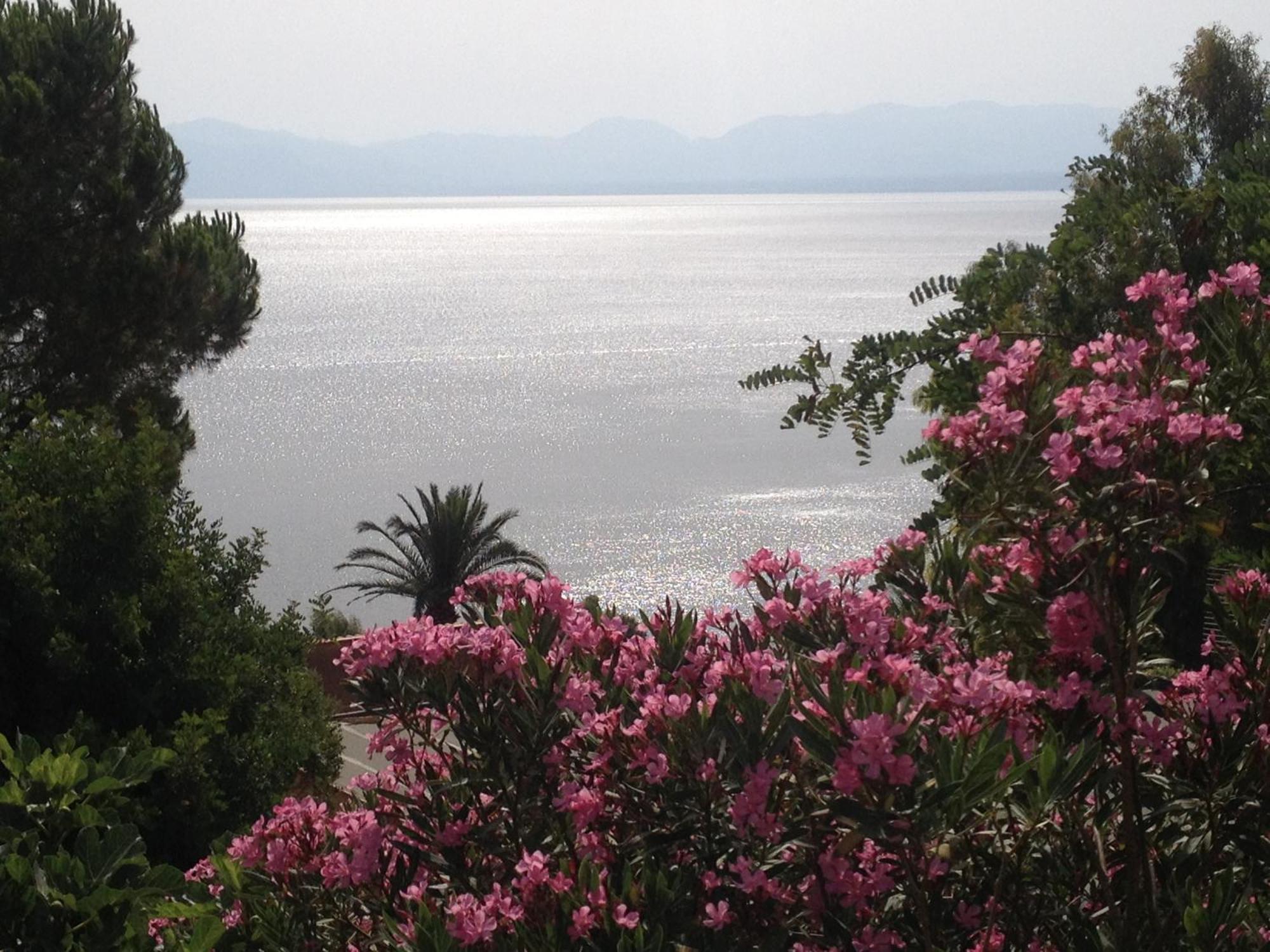 Villa Hibiscus Scopello Скопелло Экстерьер фото